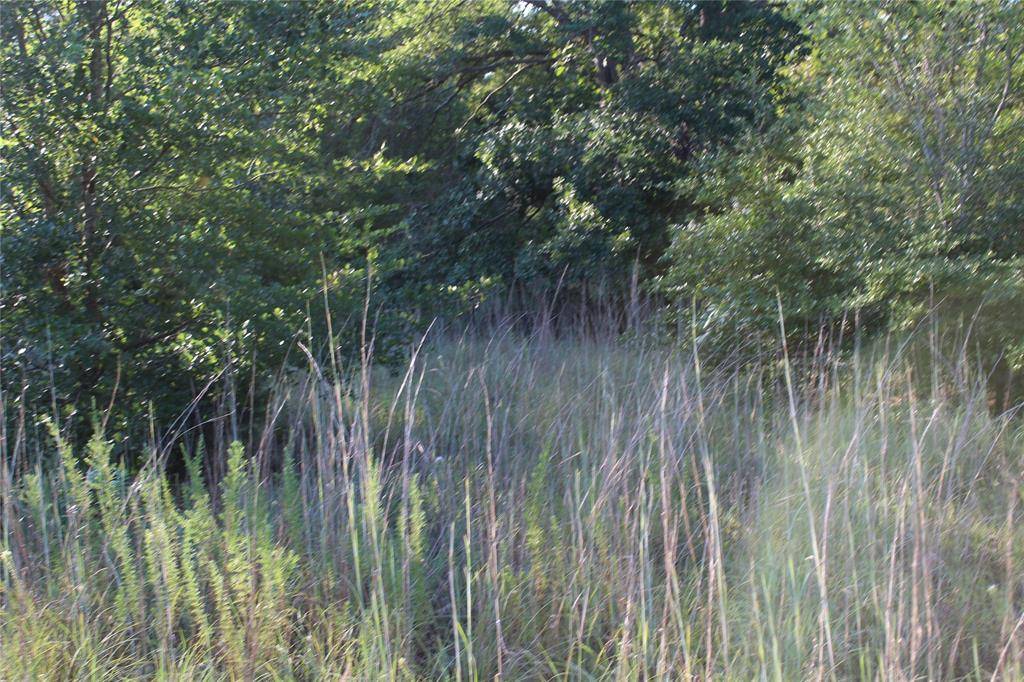 TBD CR 935, Teague, TX 75860