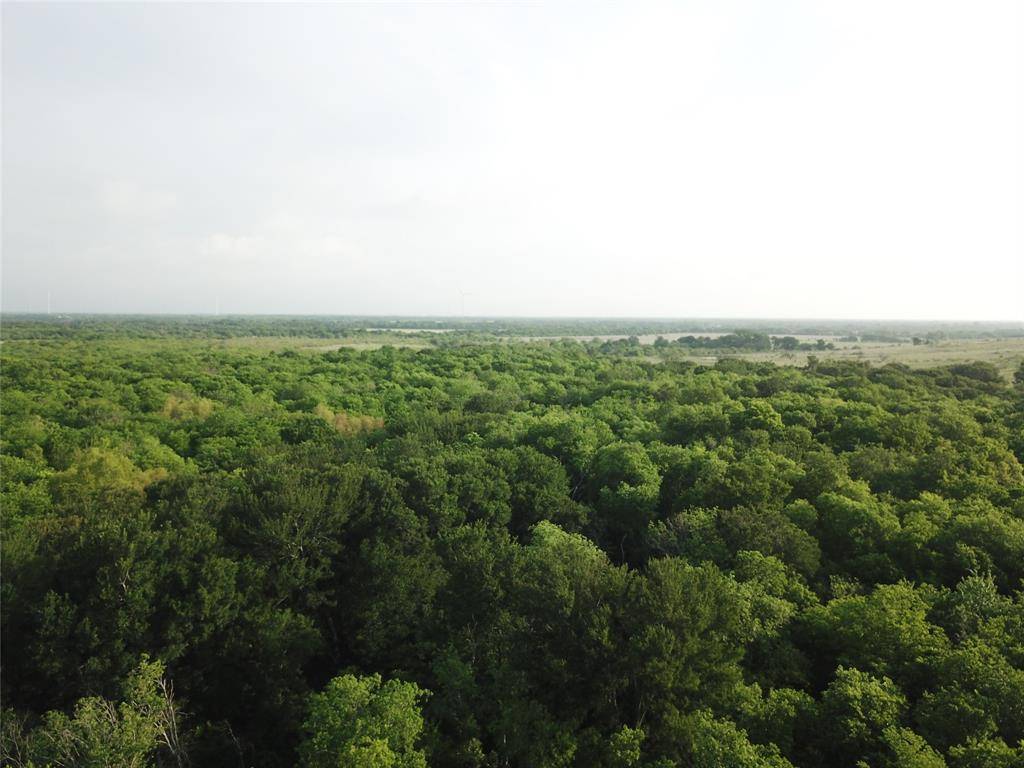 321.92 ACRES LCR 208A, Coolidge, TX 76635
