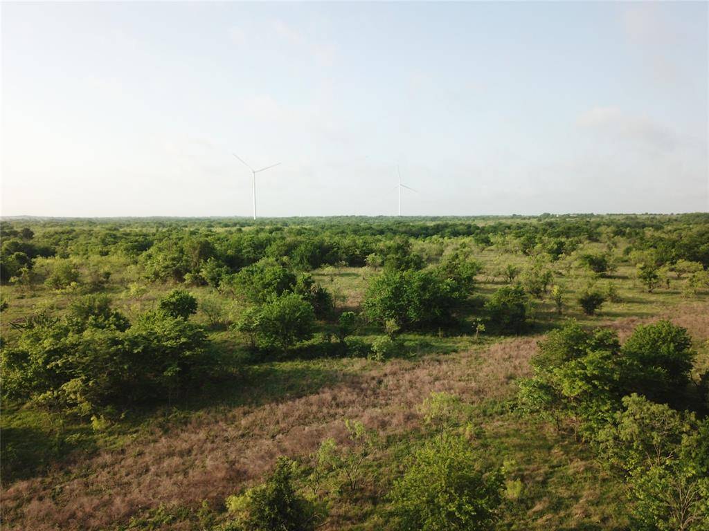 321.92 ACRES LCR 208A, Coolidge, TX 76635