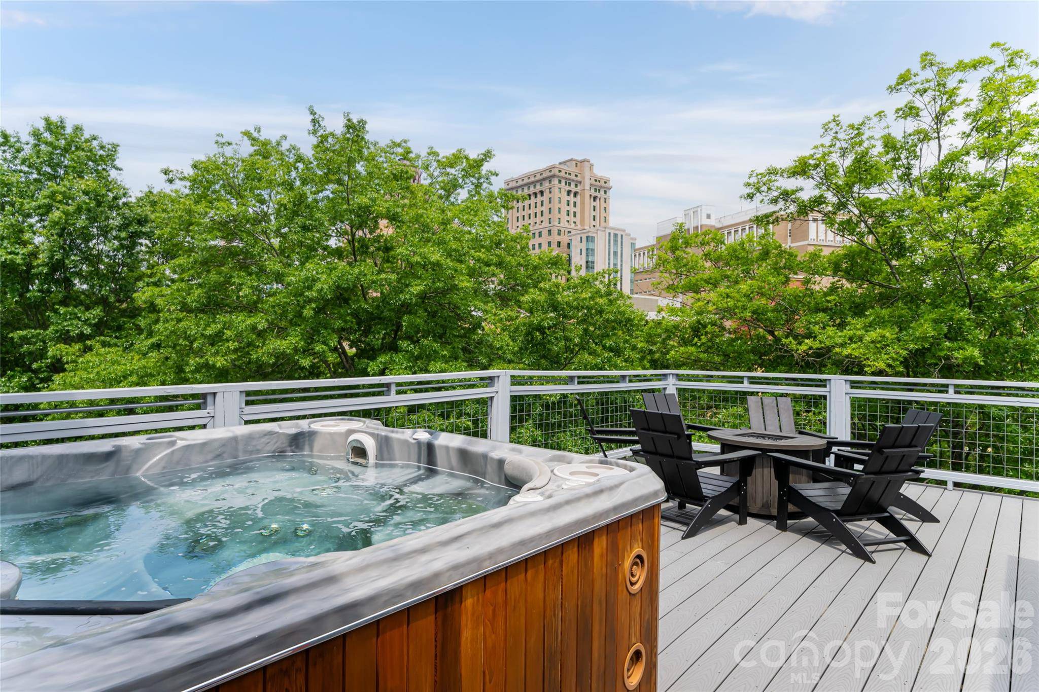 8 Birdhouse ROW, Asheville, NC 28801
