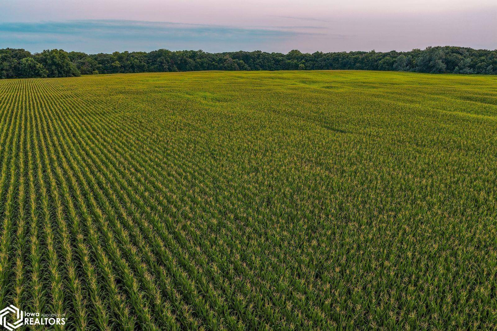 Big Bear RD, Stratford, IA 50249