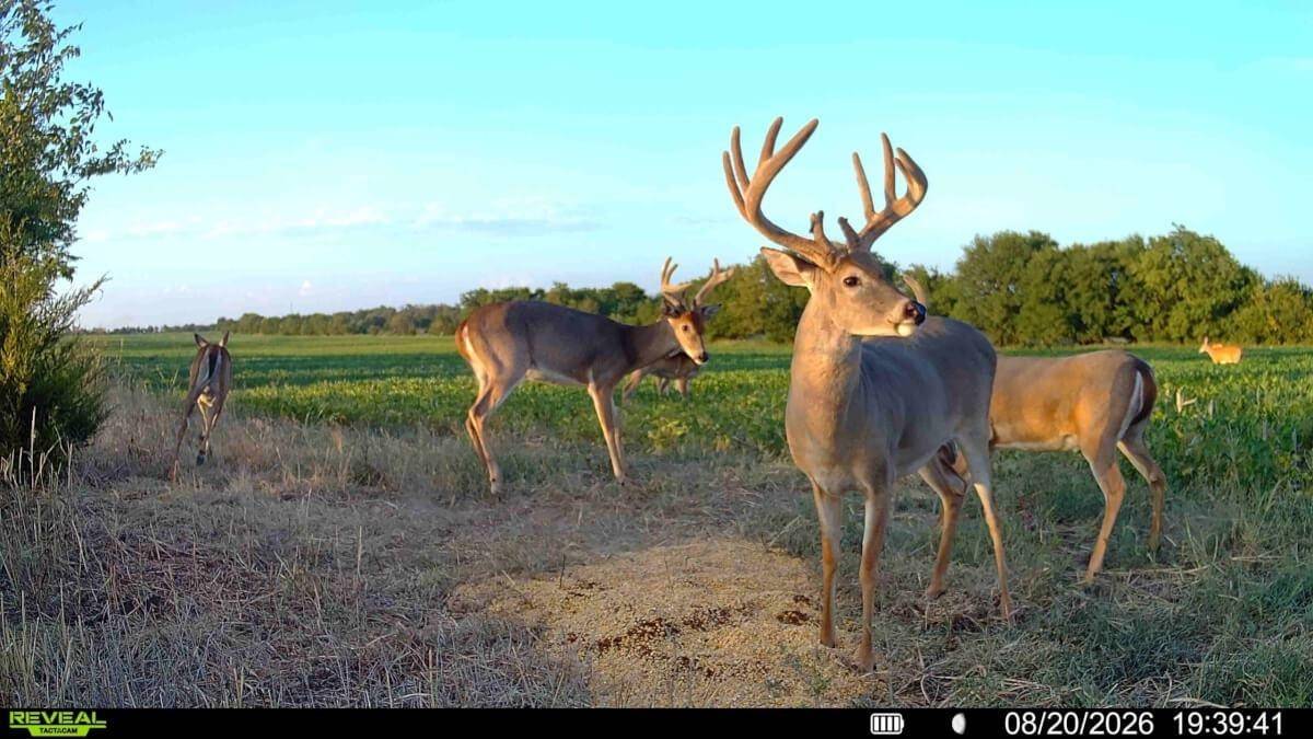 000 191ST RD, Winfield, KS 67156