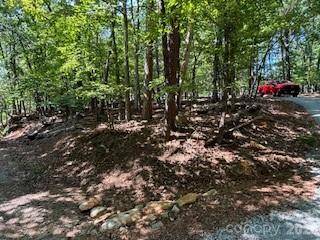 00 Johnson CIR, Lake Lure, NC 28746