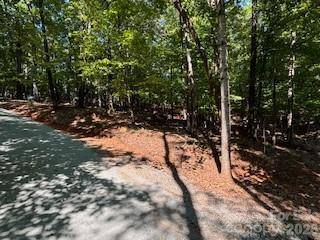 00 Johnson CIR, Lake Lure, NC 28746