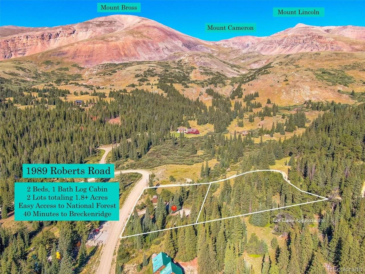 1989 Roberts, Alma, CO 80420