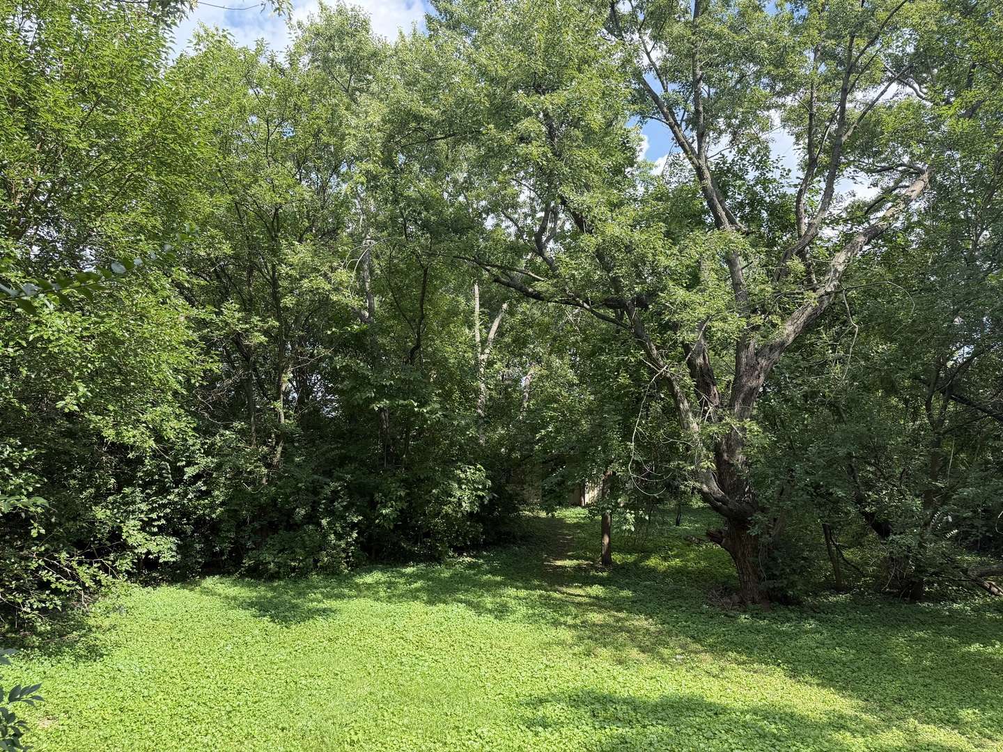 159 Thomas LN, New Lenox, IL 60451