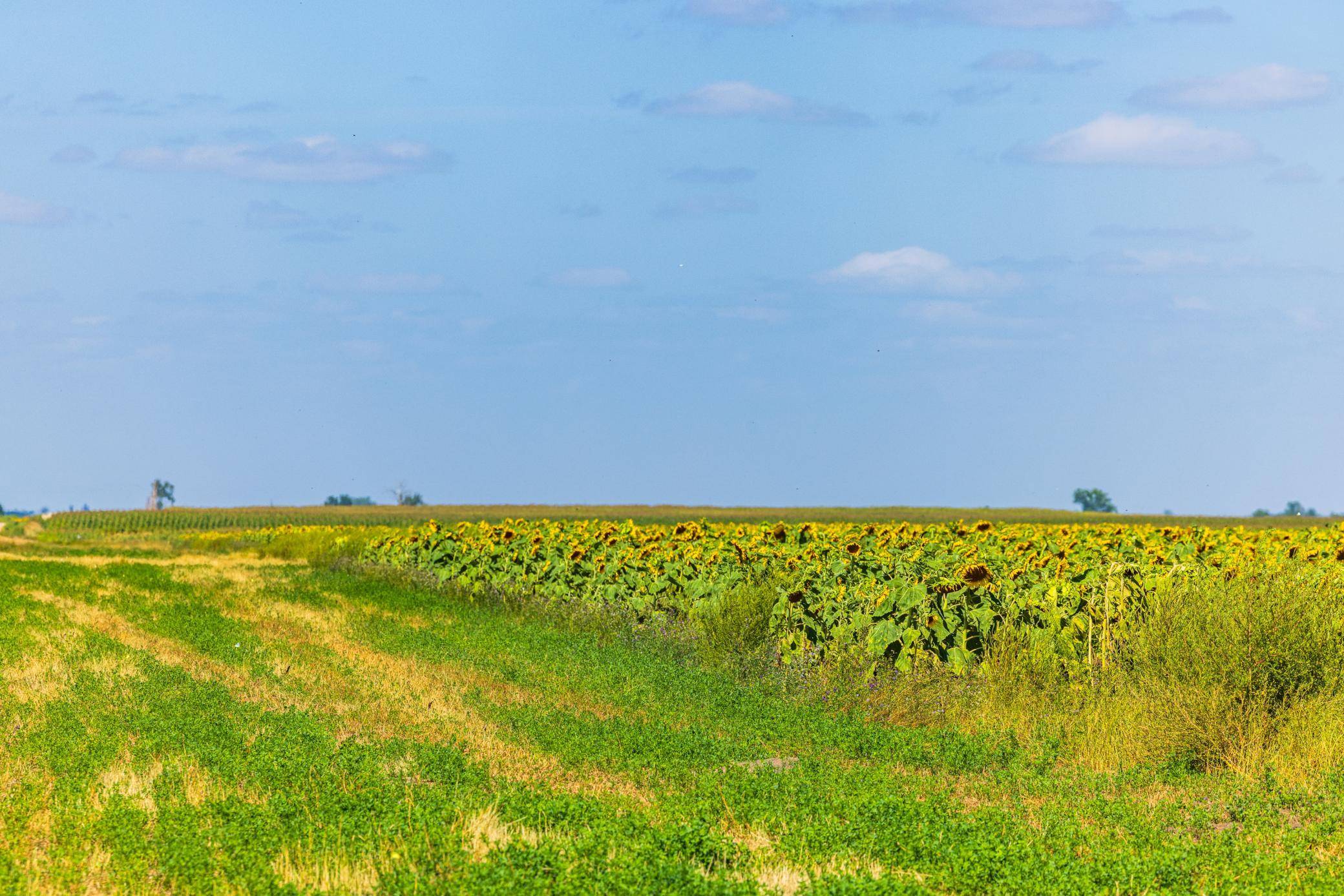 TBD 15 Ave NE Lot 2, Berwick, ND 58788