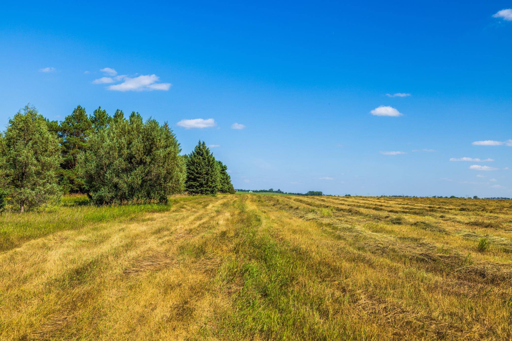 TBD Berwick Lane Lot 5, Berwick, ND 58788