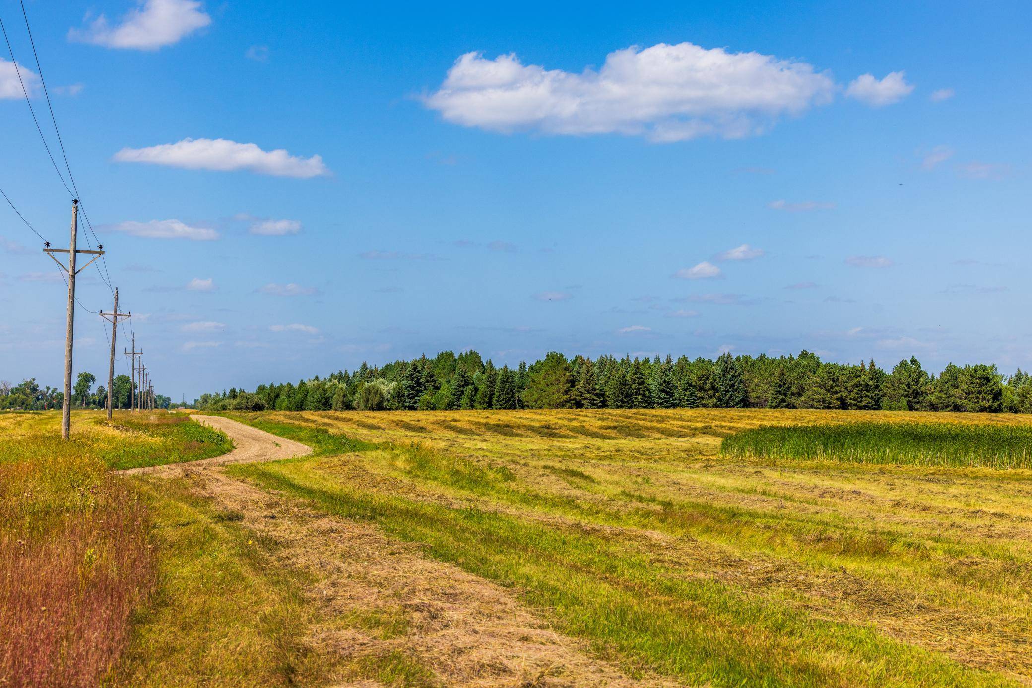 TBD Berwick Lane Lot 5, Berwick, ND 58788