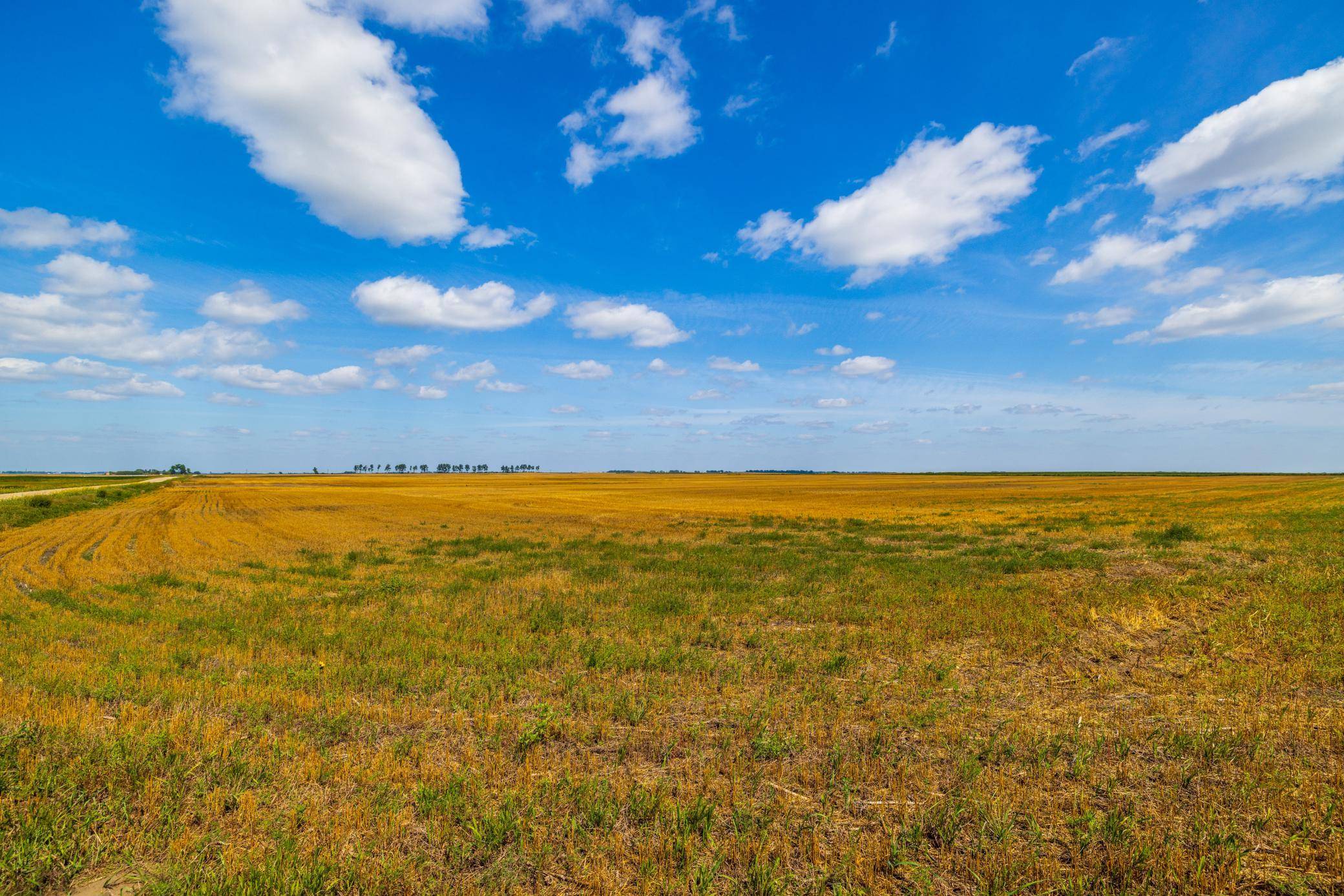 TBD 15 Ave NE Lot 4, Berwick, ND 58788