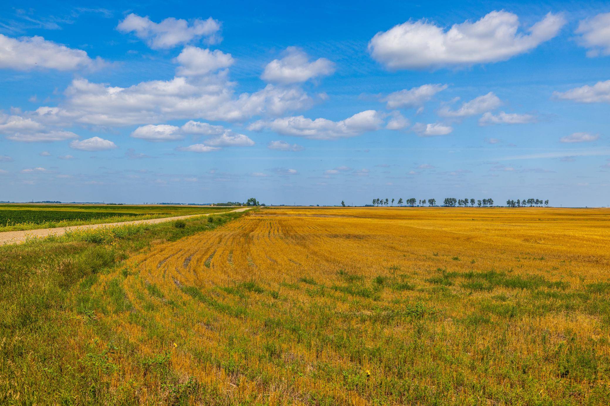 TBD 15 Ave NE Lot 4, Berwick, ND 58788
