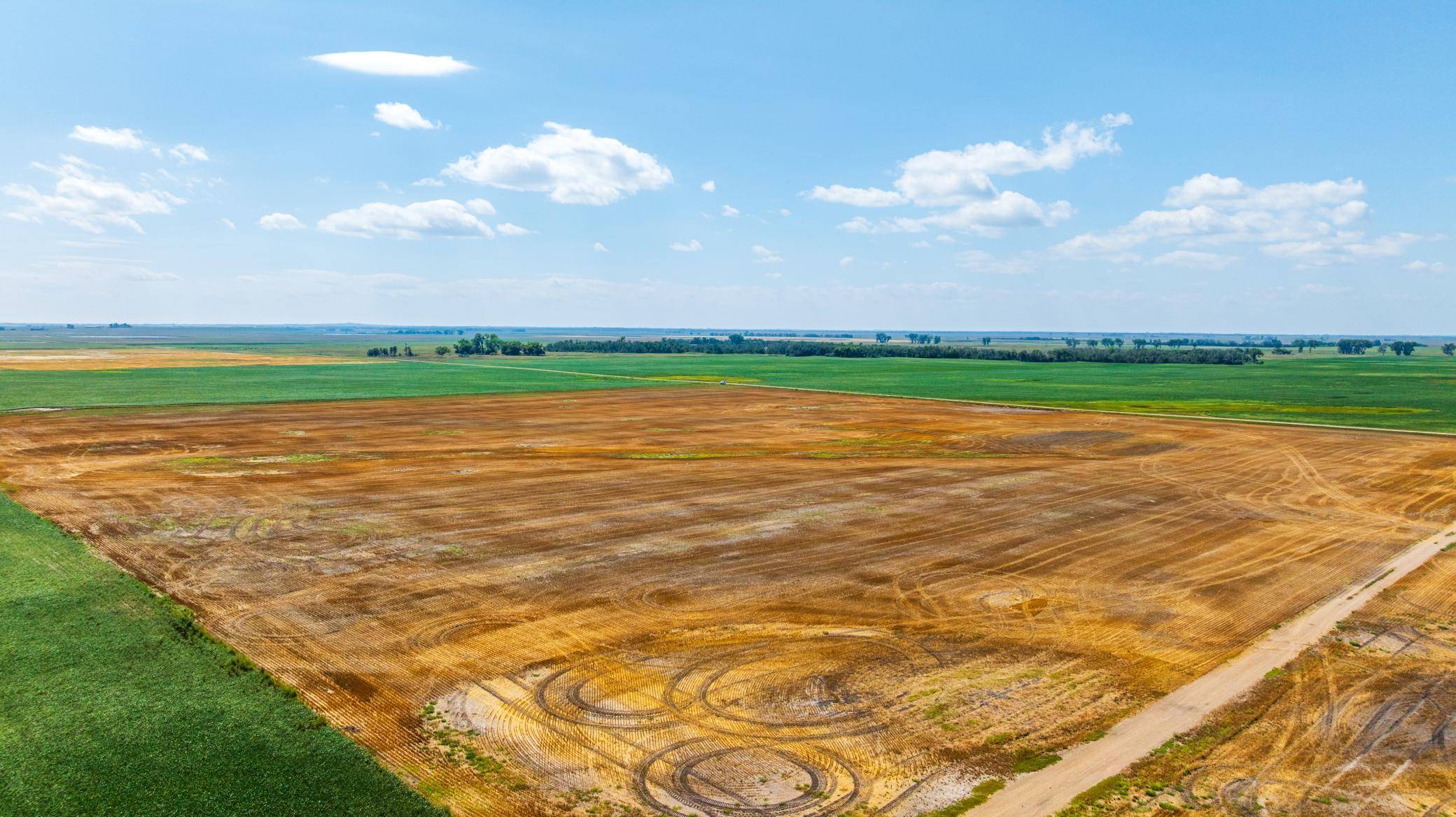TBD 15 Ave NE Lot 4, Berwick, ND 58788