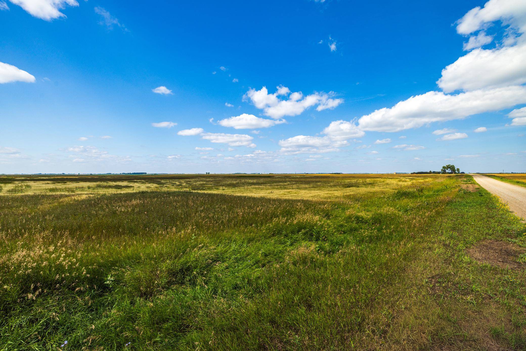 TBD 15 Ave NE Lot 3, Berwick, ND 58788