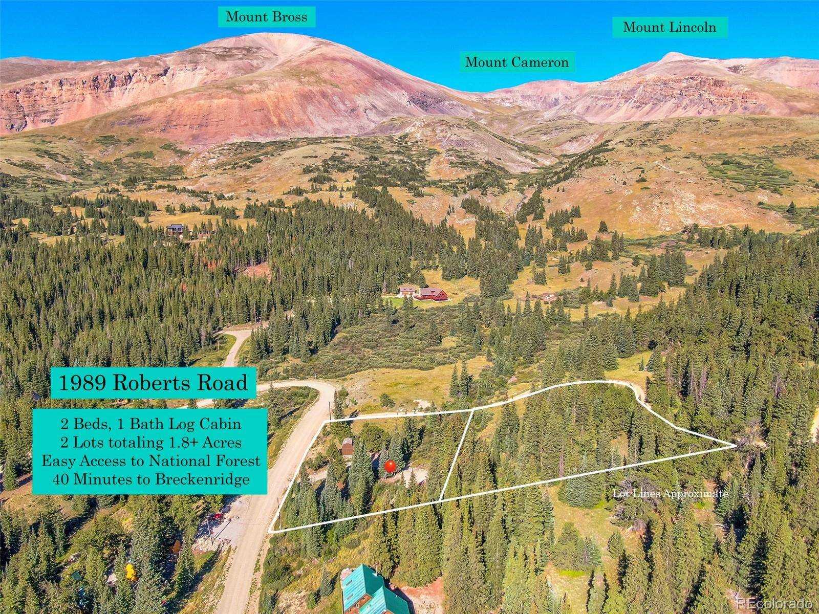1989 Roberts RD, Alma, CO 80420