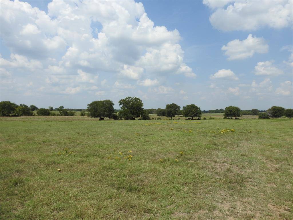 TBD County Road 4040, Ector, TX 75439