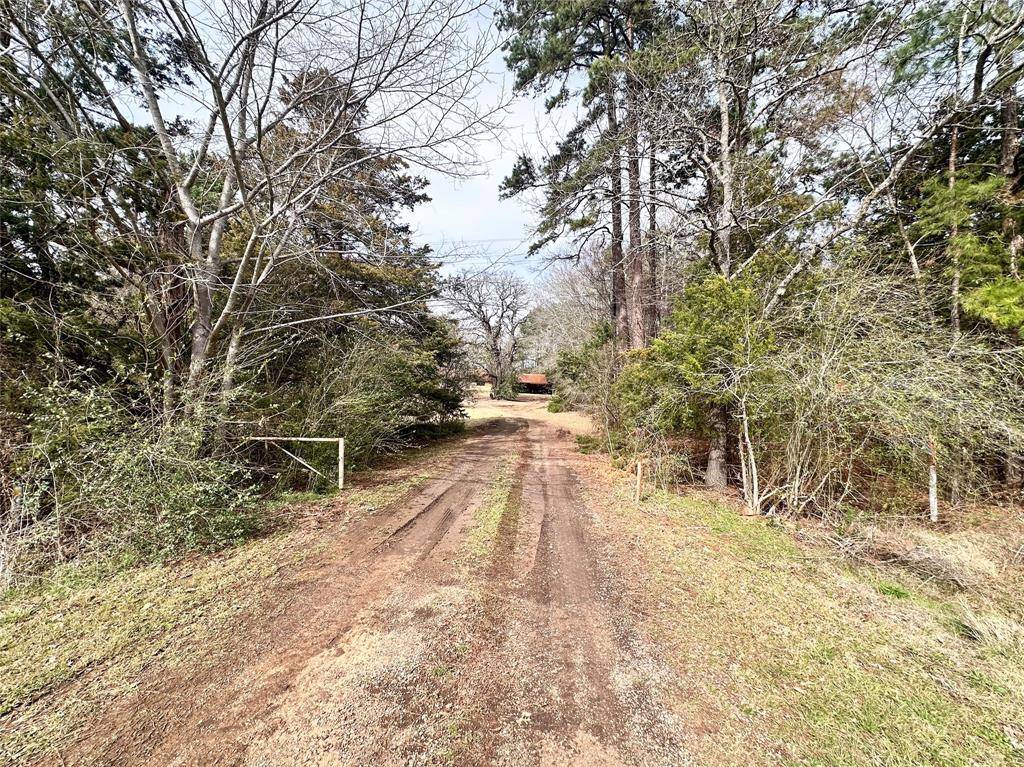 22847 FM 2215, Frankston, TX 75763