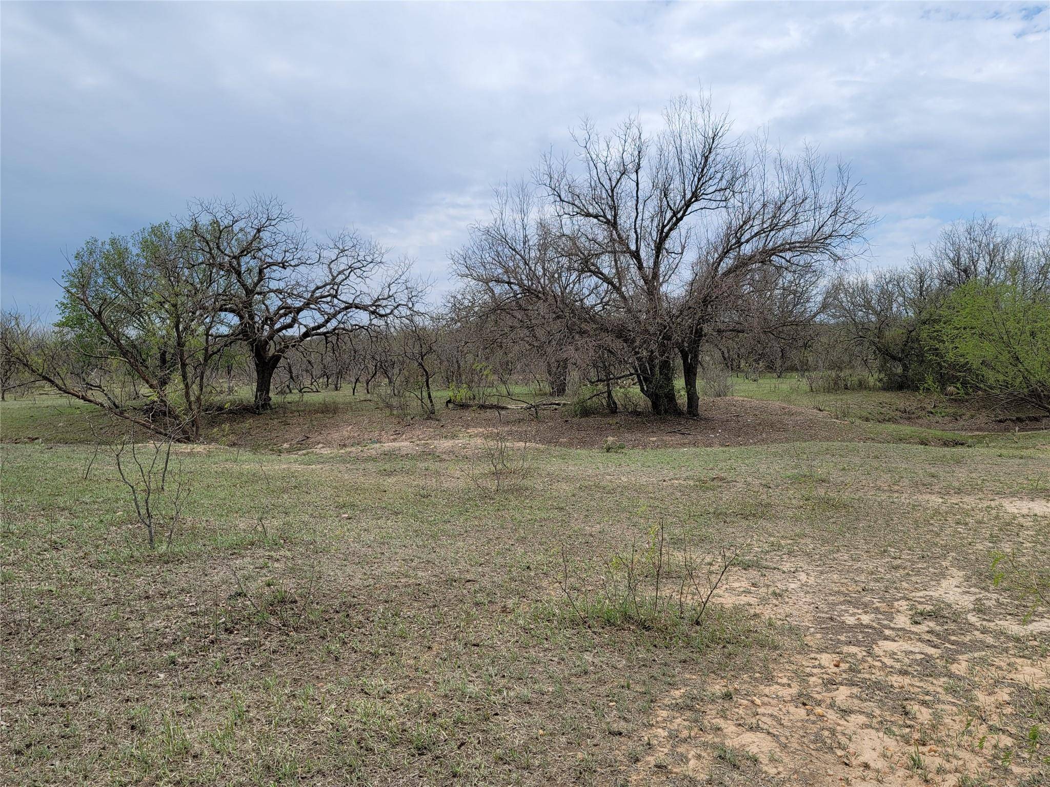 293 Threadgill LN, Valley Spring, TX 76885