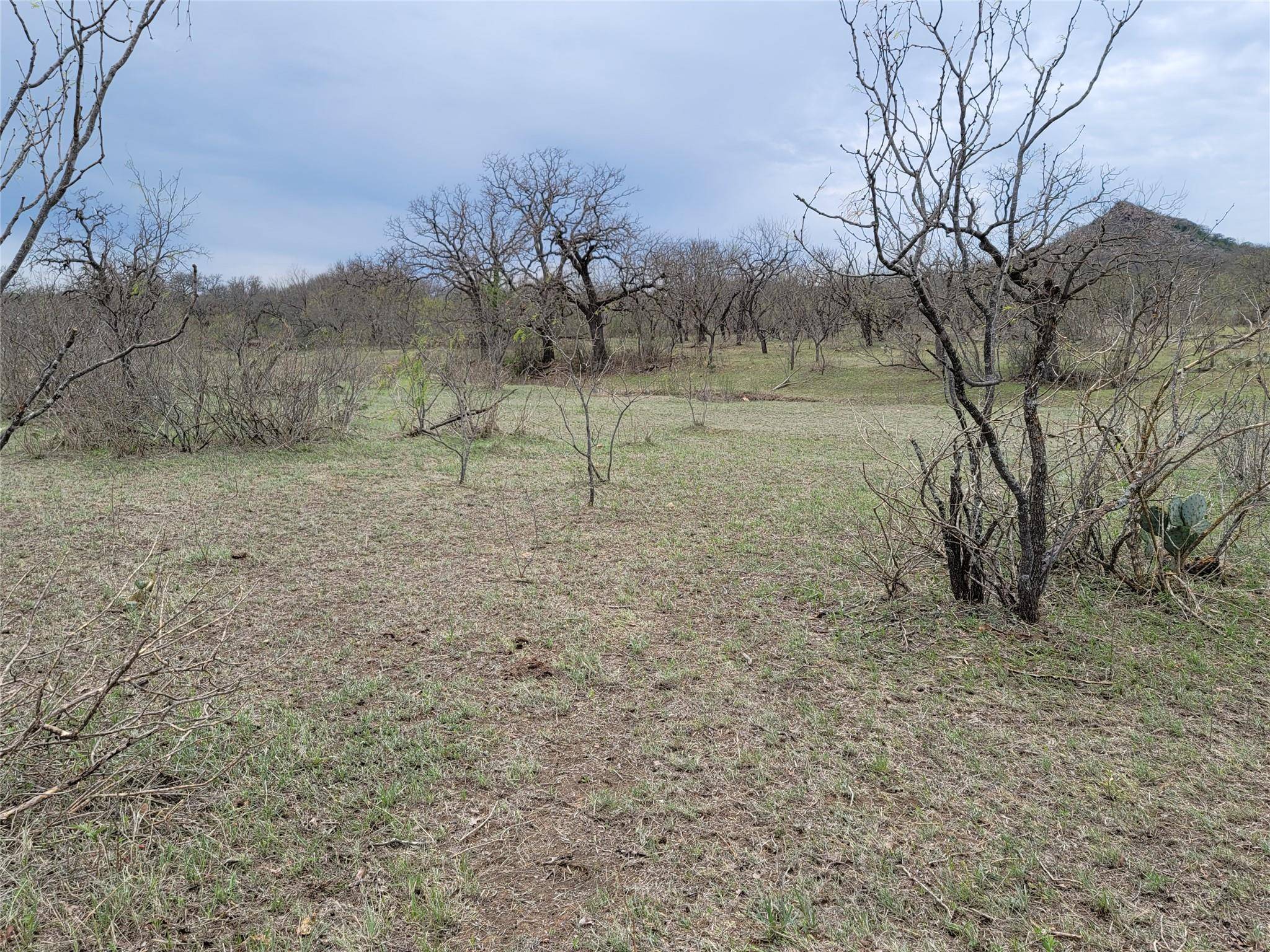293 Threadgill LN, Valley Spring, TX 76885