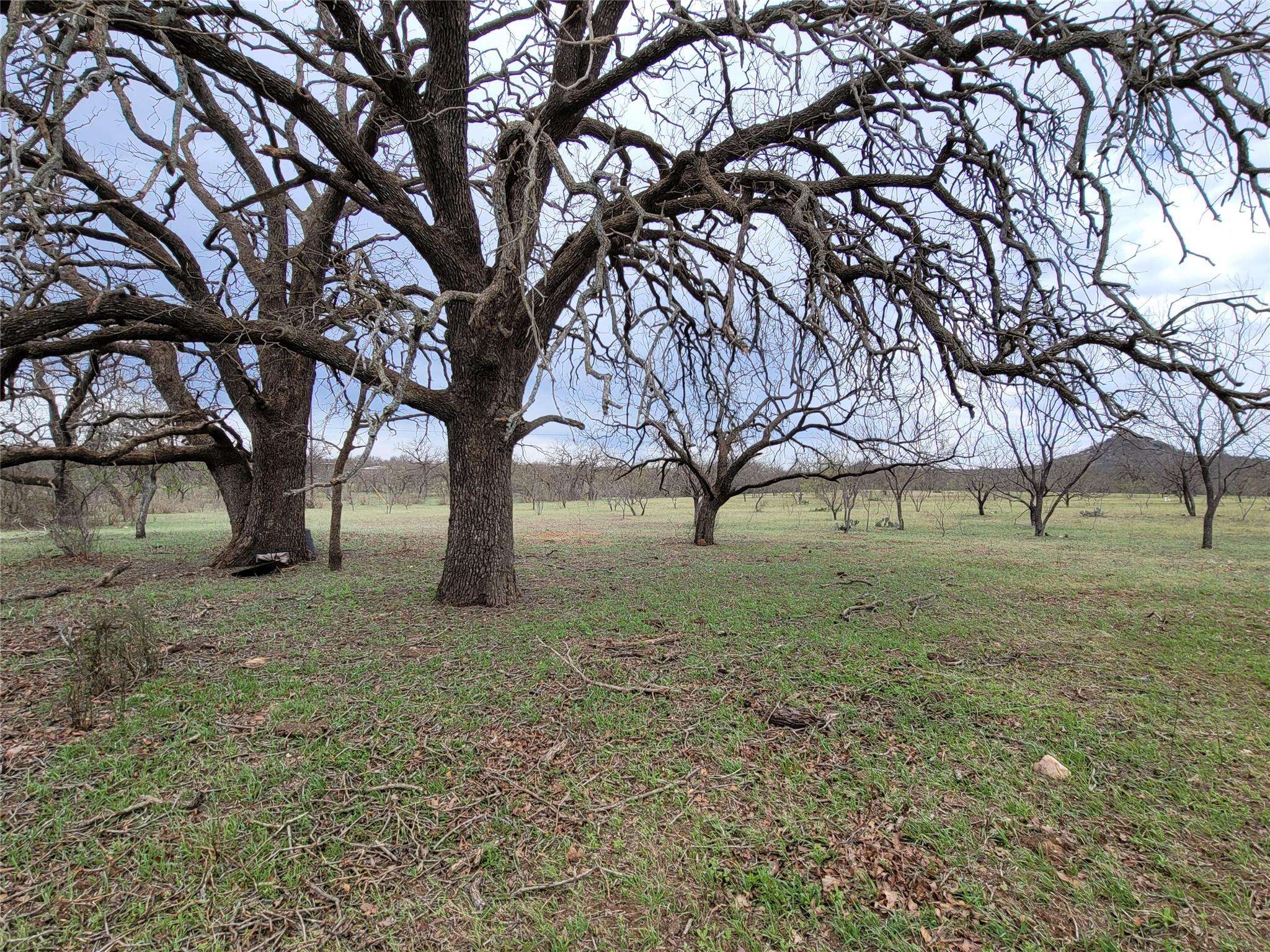 293 Threadgill LN, Valley Spring, TX 76885