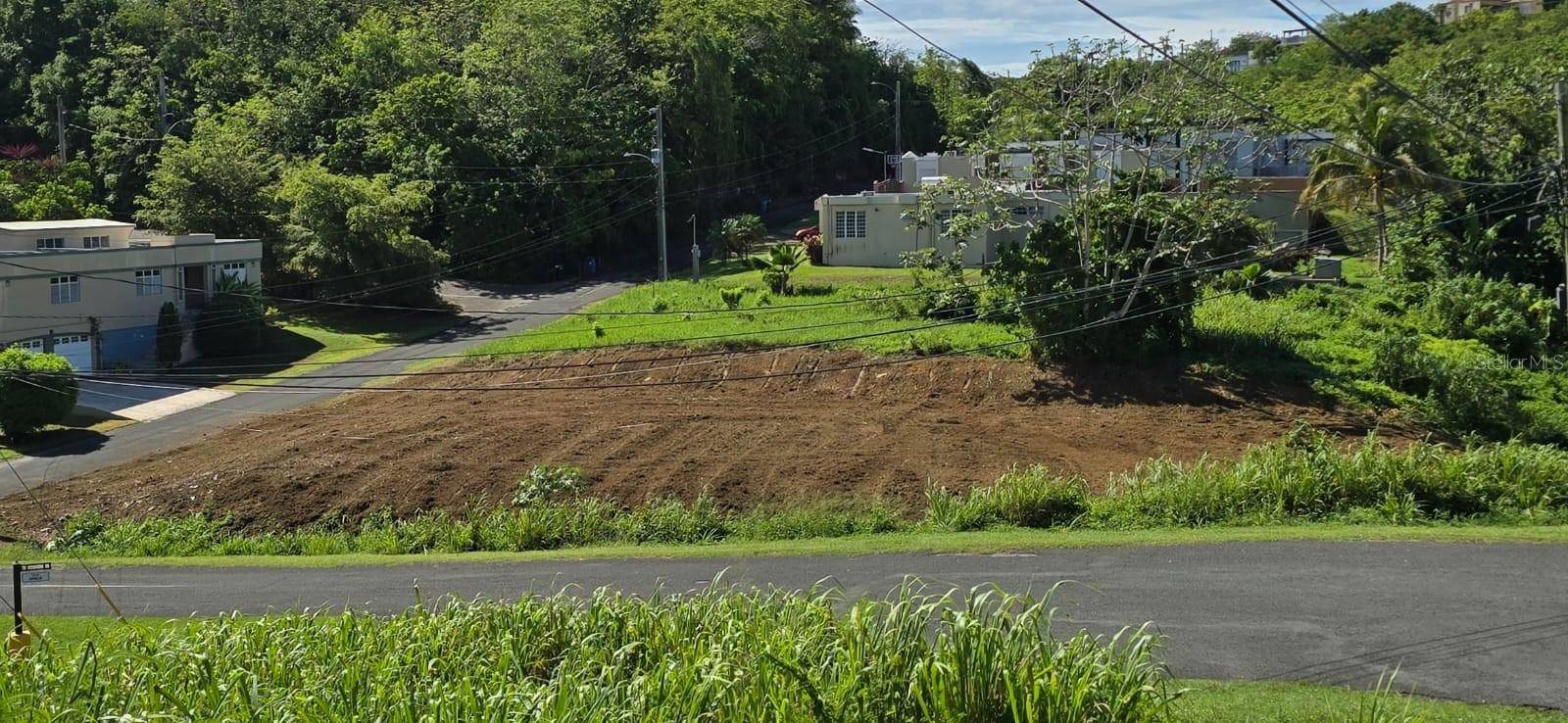 URB. COLINAS DE PALMARITO, Arecibo, PR 00612