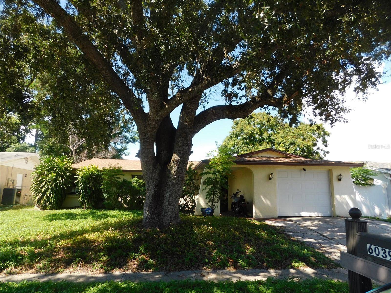 6039 7TH AVE, New Port Richey, FL 34653
