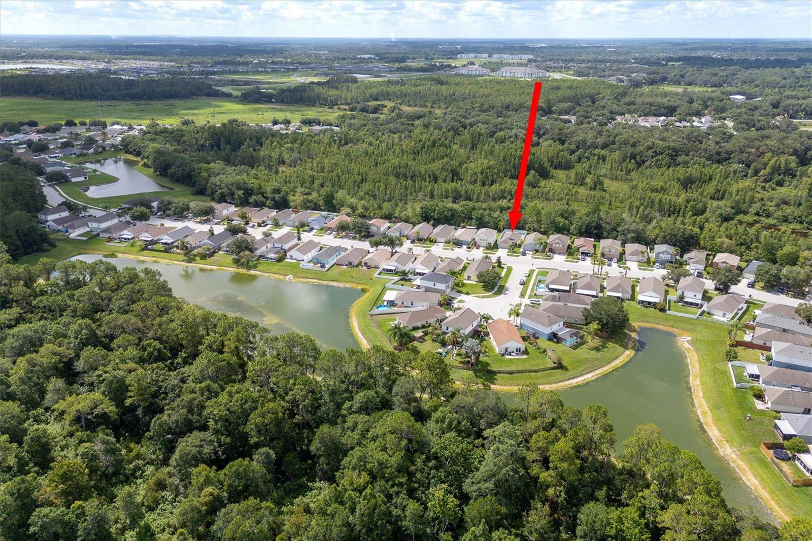 30516 BIRDHOUSE DR, Wesley Chapel, FL 33545