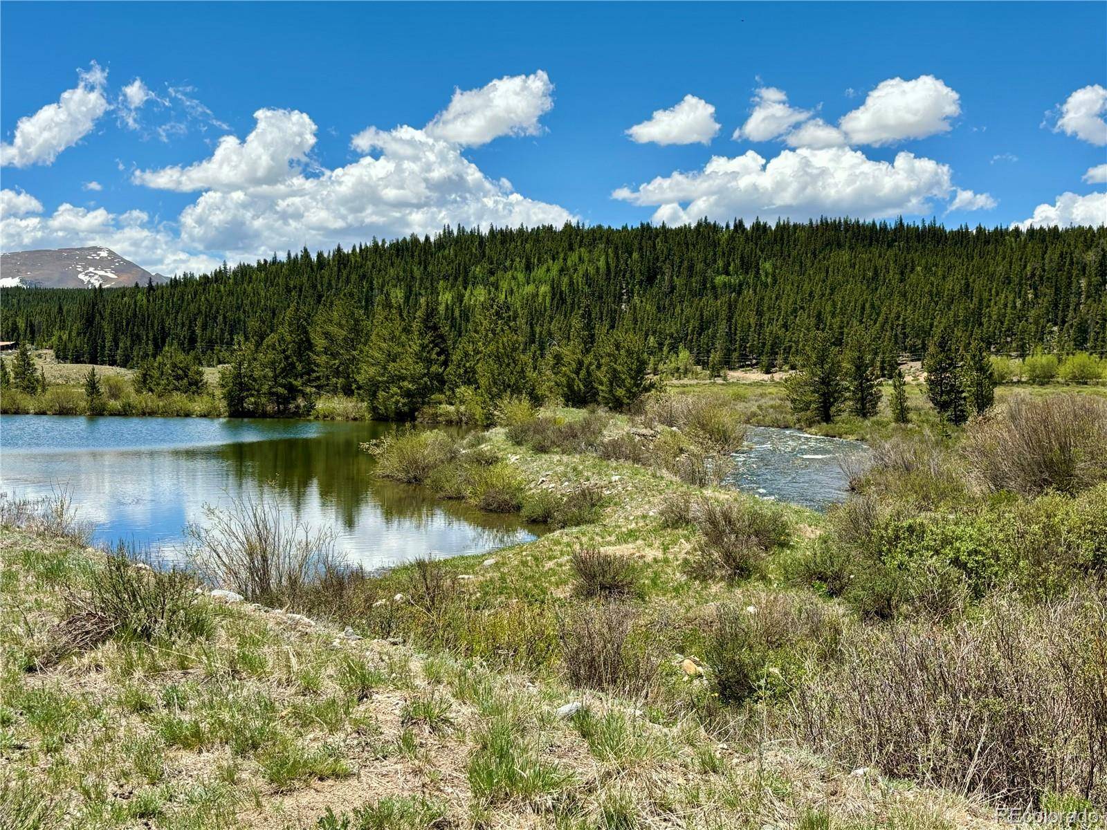 700 Cottage Grove RD, Alma, CO 80420
