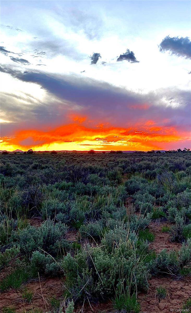 2907 County Road 128, Hesperus, CO 81326