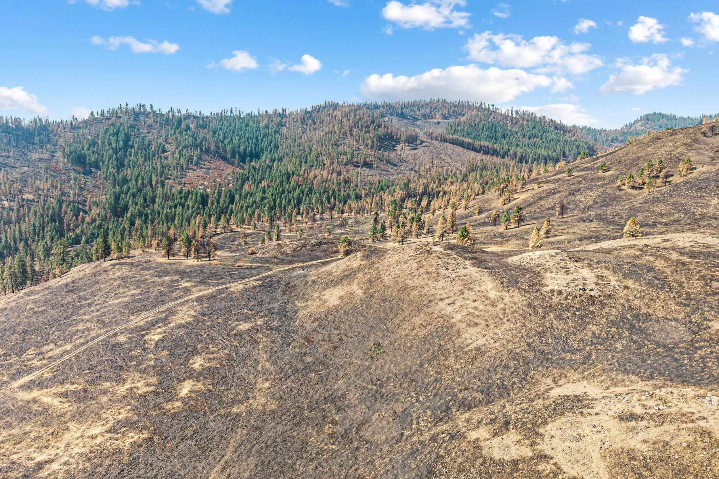 329X Silver Creek Rd, Inchelium, WA 99138