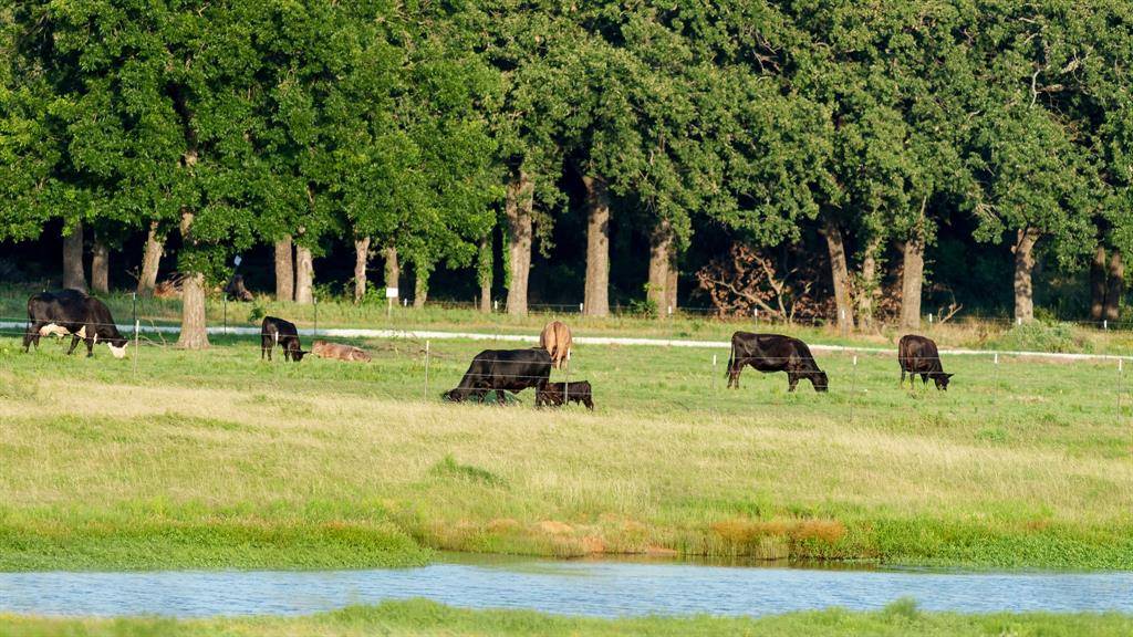 400 Smith Ranch Road, Collinsville, TX 76233