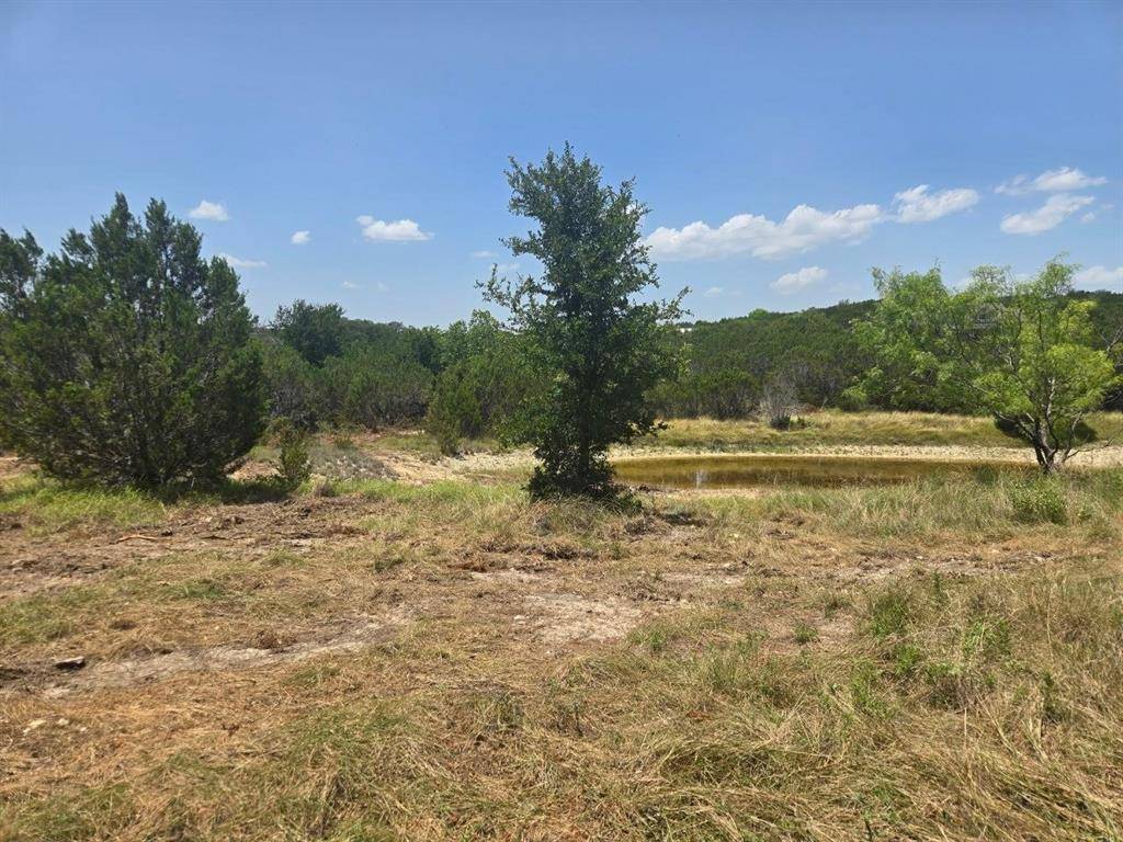TBD Lighthouse Drive, Bluff Dale, TX 76433