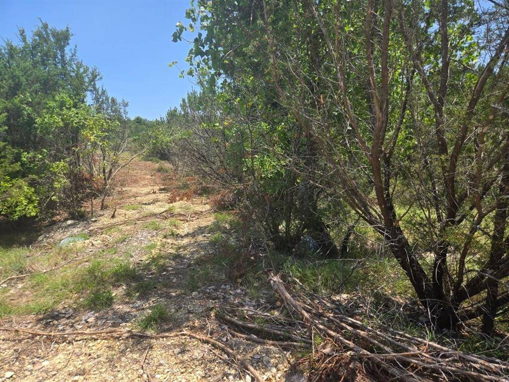 TBD Lighthouse Drive, Bluff Dale, TX 76433