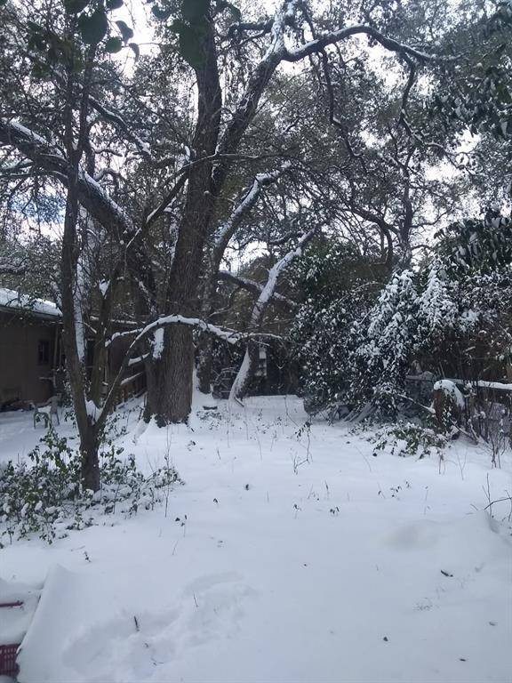 8002 PERSIMMON TRL, Austin, TX 78745