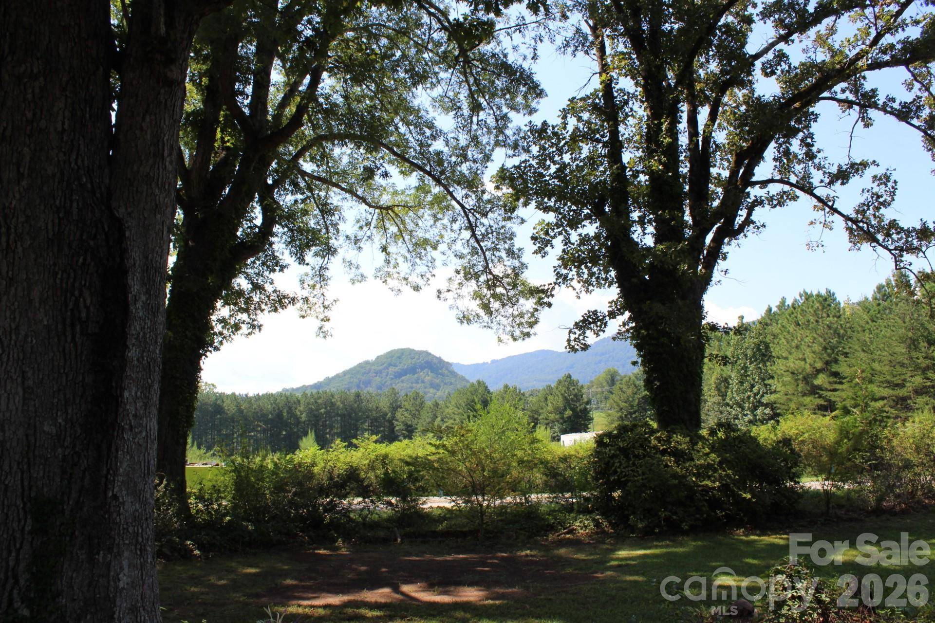 70 Fox Mountain RD, Columbus, NC 28722