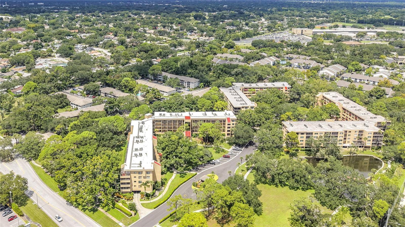 3078 EASTLAND BLVD #209, Clearwater, FL 33761