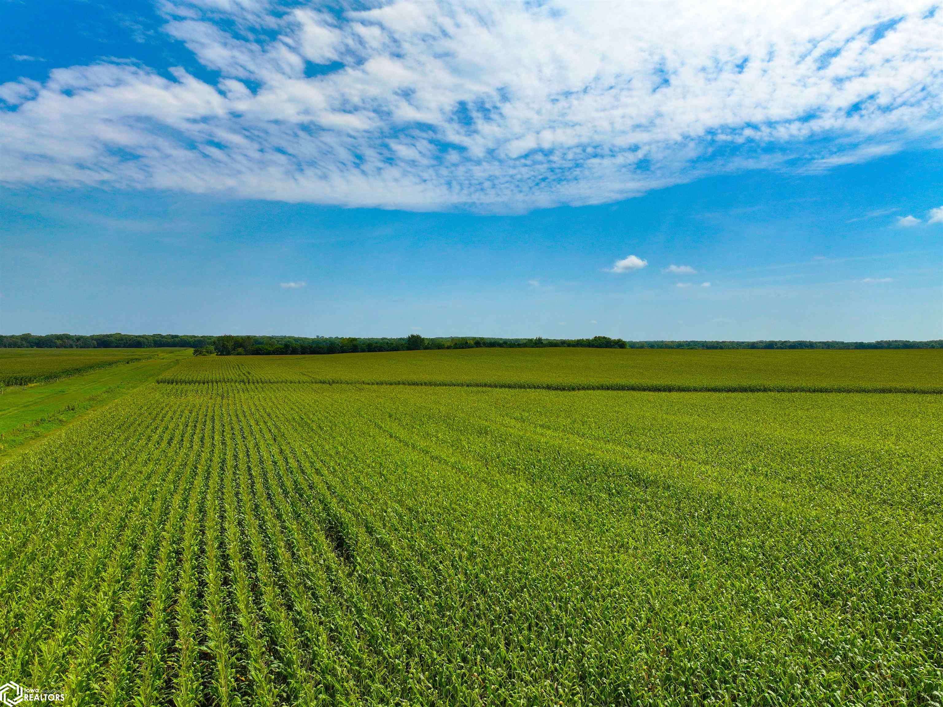 Quonset AVE, Rowley, IA 52329