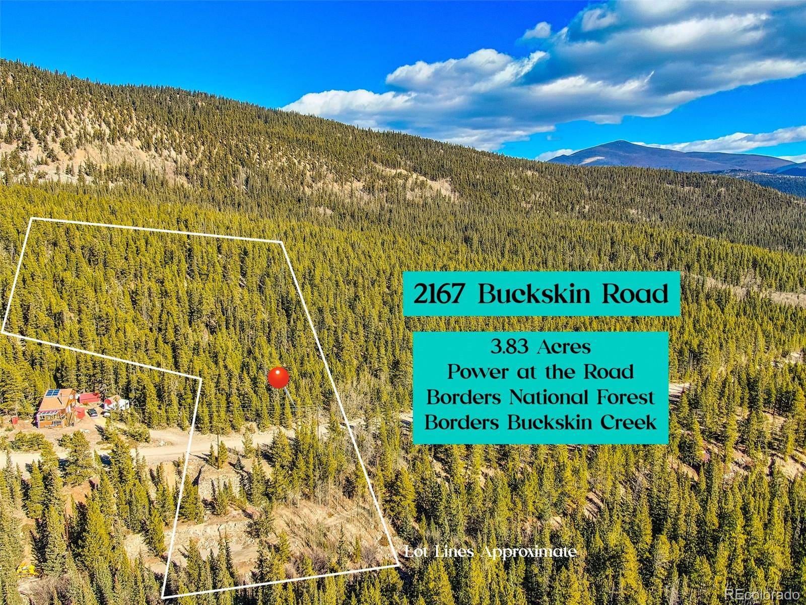 2167 Buckskin RD, Alma, CO 80420