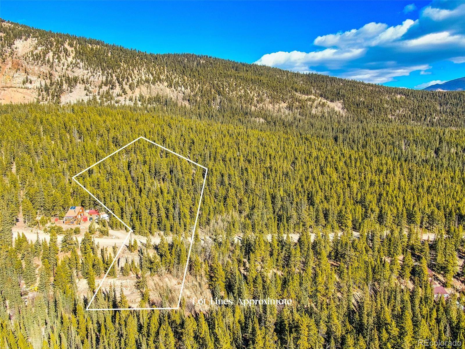 2167 Buckskin RD, Alma, CO 80420