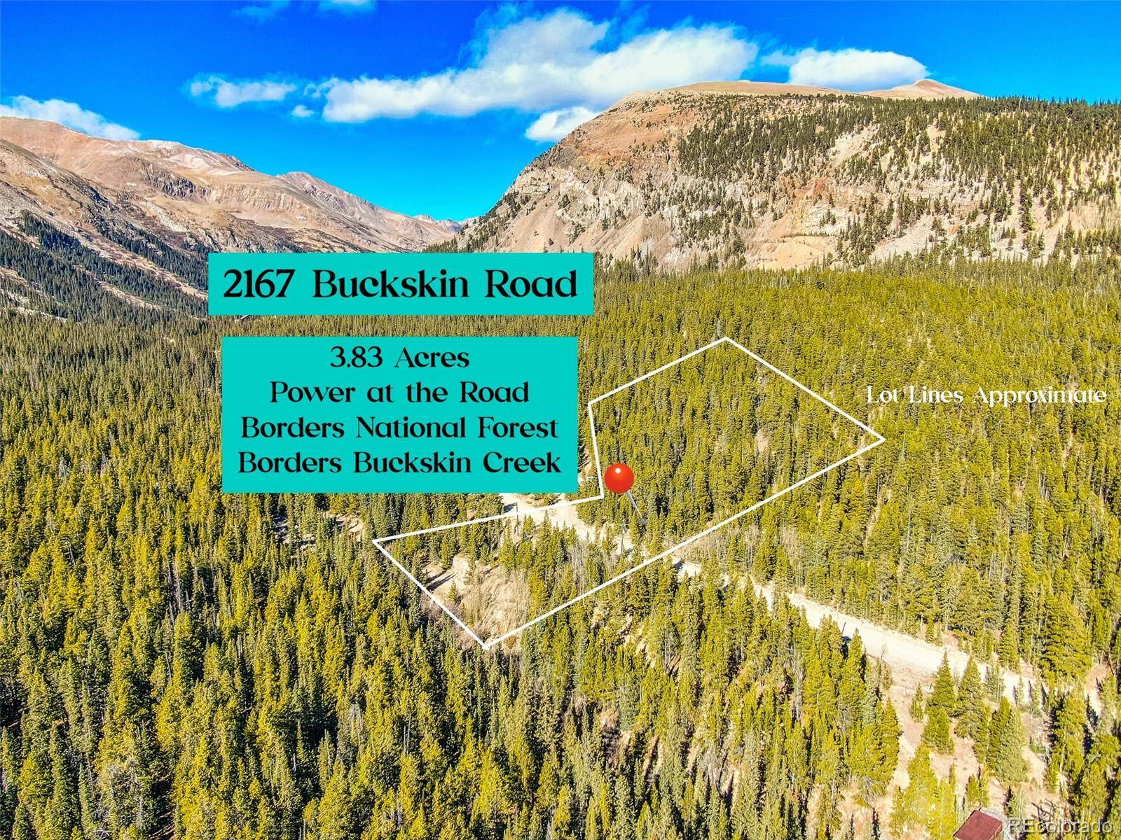 2167 Buckskin RD, Alma, CO 80420