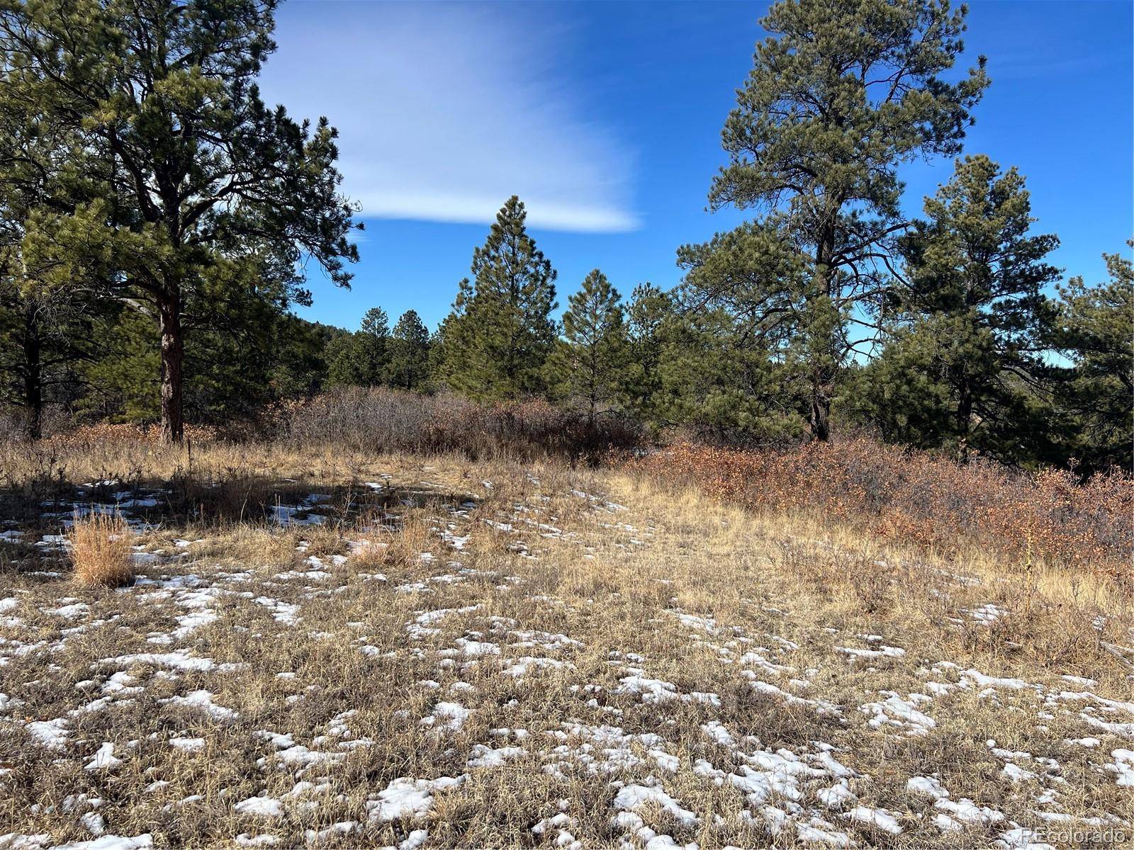 6764 Yampa DR, Larkspur, CO 80118