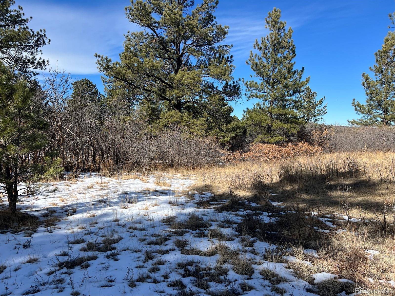 6764 Yampa DR, Larkspur, CO 80118