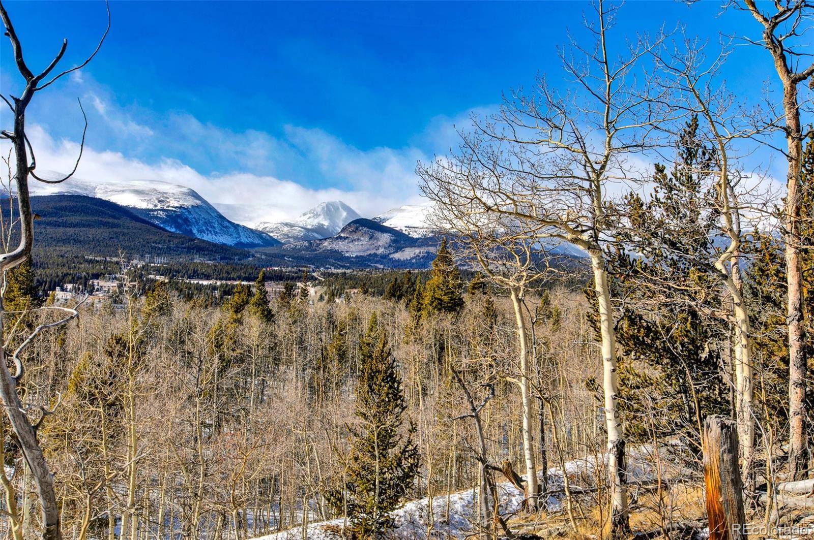 96 Dead Toad RD, Alma, CO 80420