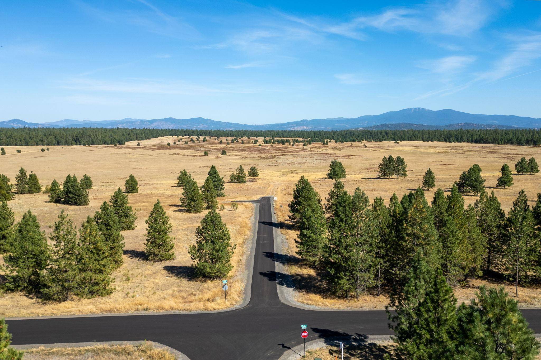 NKA E Slaton Rd #Lot 45, Deer Park, WA 99006