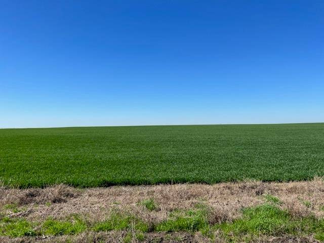 Tract 3 CR 355, Rosebud, TX 76519