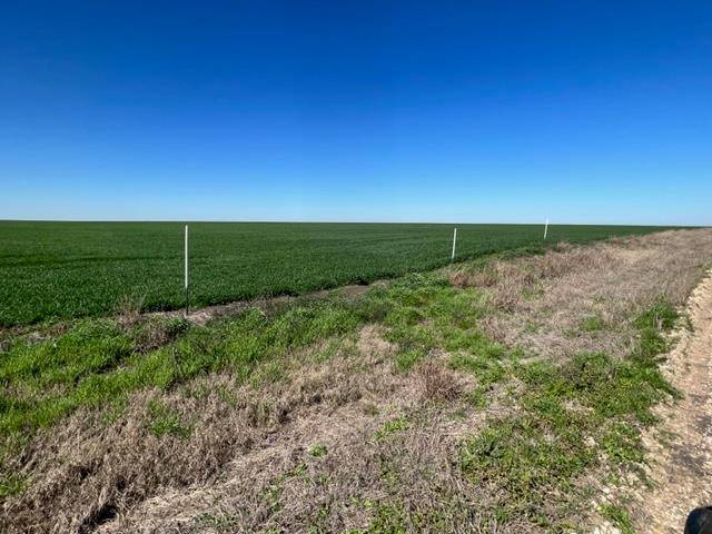 Tract 3 CR 355, Rosebud, TX 76519
