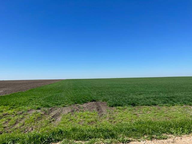 Tract 3 CR 355, Rosebud, TX 76519