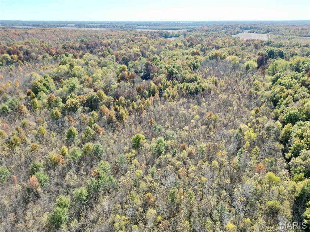 00 East Elbow Lane, Olney, IL 62450