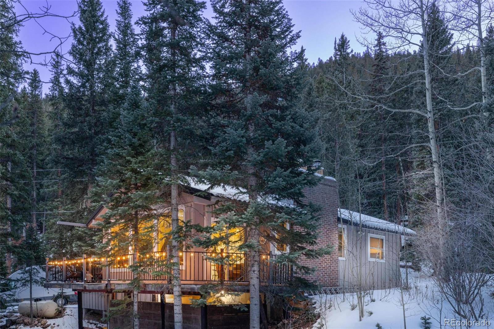 14 Moss, Dumont, CO 80436