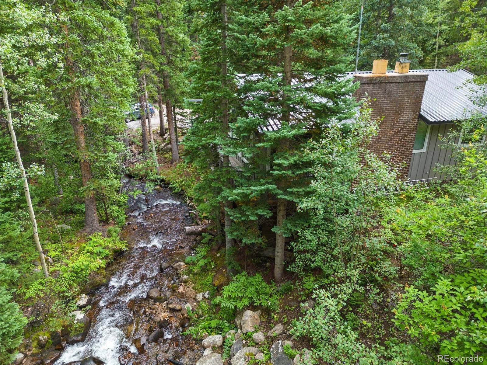 14 Moss, Dumont, CO 80436