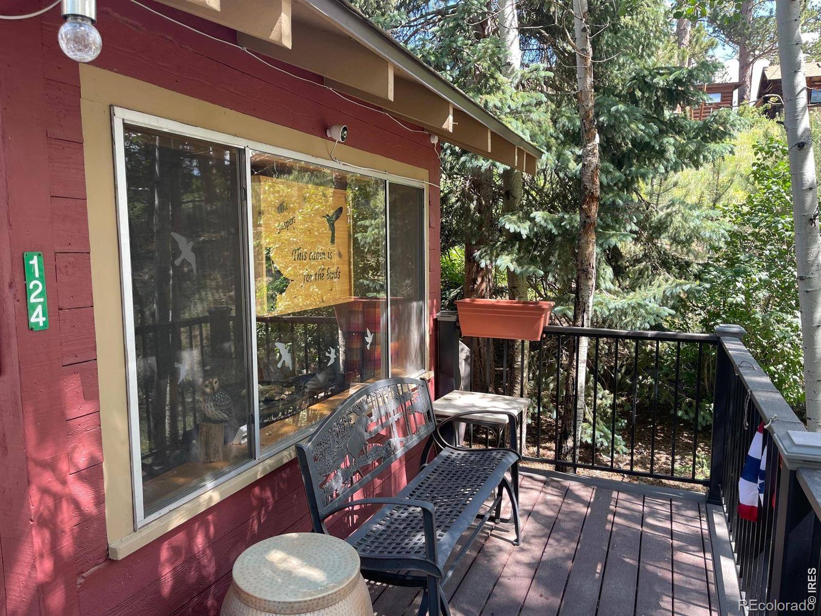 124 Ski RD, Allenspark, CO 80510